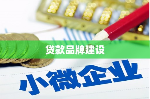 林园贷款品牌建设