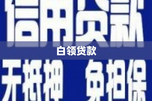 林园白领贷款