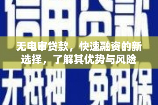林园无电审贷款，快速融资的新选择，了解其优势与风险