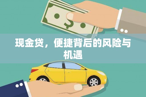 林园现金贷，便捷背后的风险与机遇