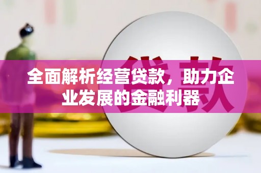 林园全面解析经营贷款，助力企业发展的金融利器