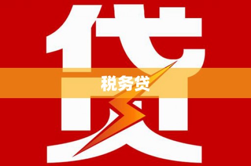 林园税务贷