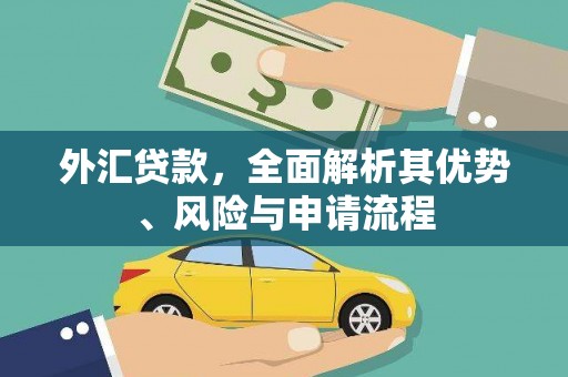 林园外汇贷款，全面解析其优势、风险与申请流程