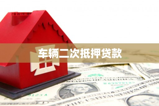 林园车辆二次抵押贷款