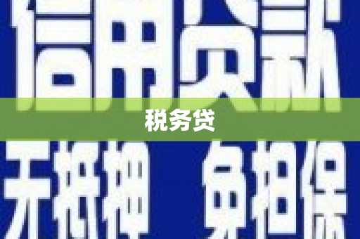 林园税务贷