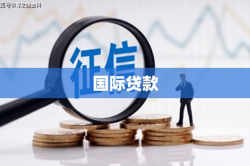 林园国际贷款