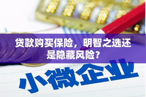 林园贷款购买保险，明智之选还是隐藏风险？