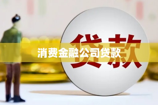 林园消费金融公司贷款