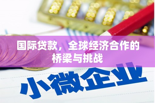 林园国际贷款，全球经济合作的桥梁与挑战