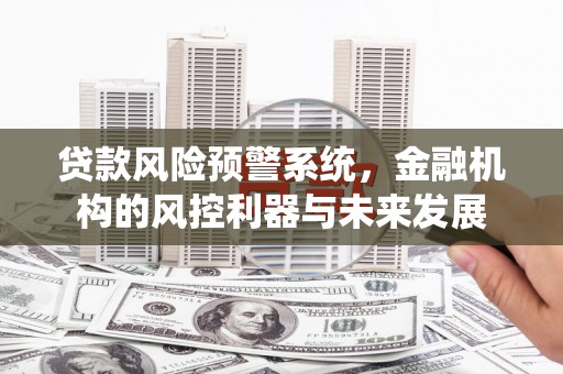 林园贷款风险预警系统，金融机构的风控利器与未来发展