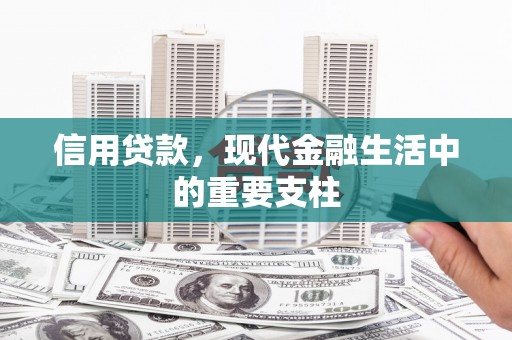 林园信用贷款，现代金融生活中的重要支柱