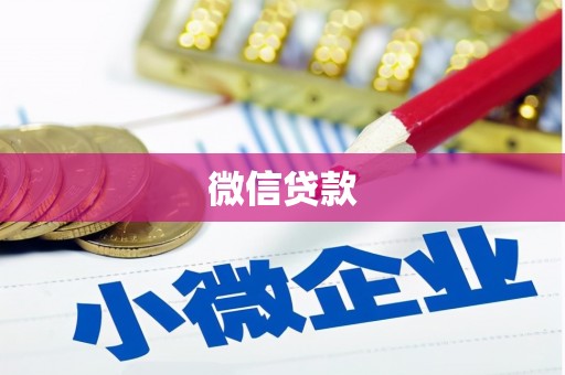 林园微信贷款