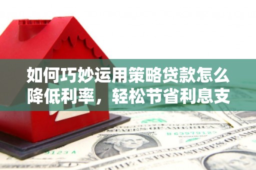 林园如何巧妙运用策略贷款怎么降低利率，轻松节省利息支出
