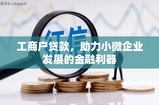 林园工商户贷款，助力小微企业发展的金融利器