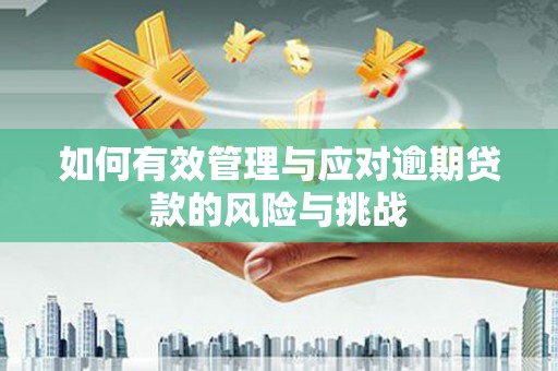 林园如何有效管理与应对逾期贷款的风险与挑战