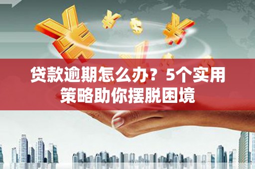 林园贷款逾期怎么办？5个实用策略助你摆脱困境