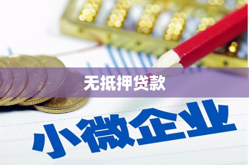 林园无抵押贷款