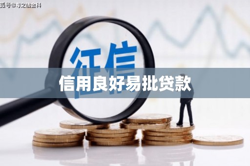 林园信用良好易批贷款