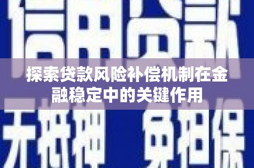 林园探索贷款风险补偿机制在金融稳定中的关键作用