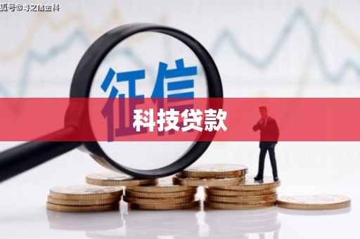 林园科技贷款