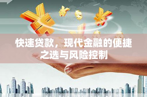 林园快速贷款，现代金融的便捷之选与风险控制