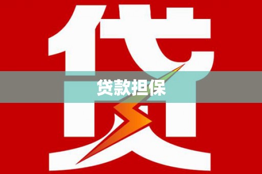 林园贷款担保