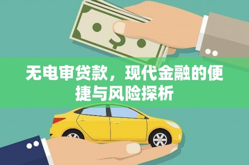 林园无电审贷款，现代金融的便捷与风险探析