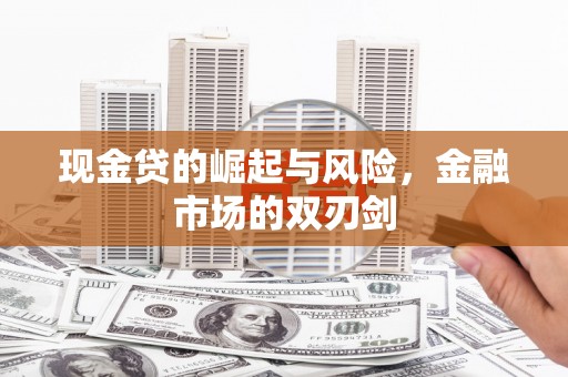 林园现金贷的崛起与风险，金融市场的双刃剑