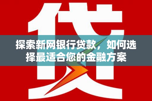 林园探索新网银行贷款，如何选择最适合您的金融方案