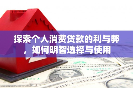 林园探索个人消费贷款的利与弊，如何明智选择与使用