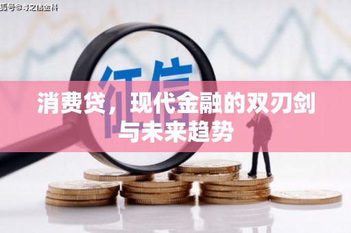 林园消费贷，现代金融的双刃剑与未来趋势