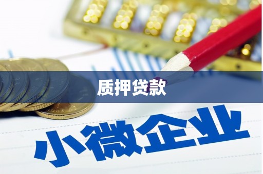 林园质押贷款
