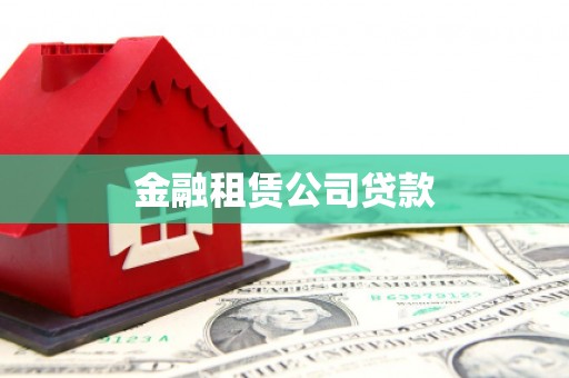 林园金融租赁公司贷款