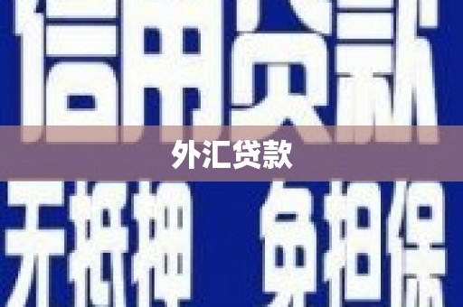 林园外汇贷款