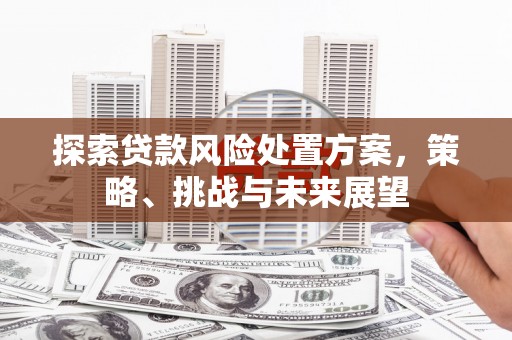 林园探索贷款风险处置方案，策略、挑战与未来展望