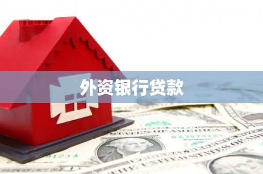 林园外资银行贷款