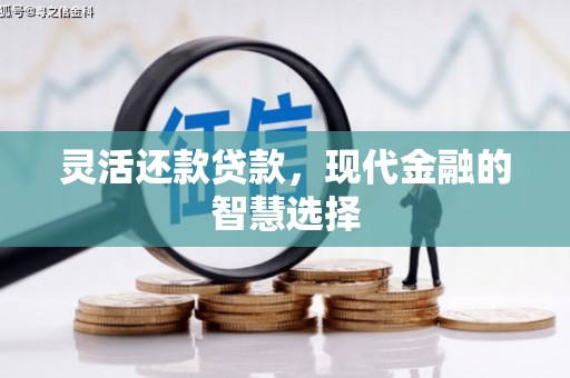 林园灵活还款贷款，现代金融的智慧选择