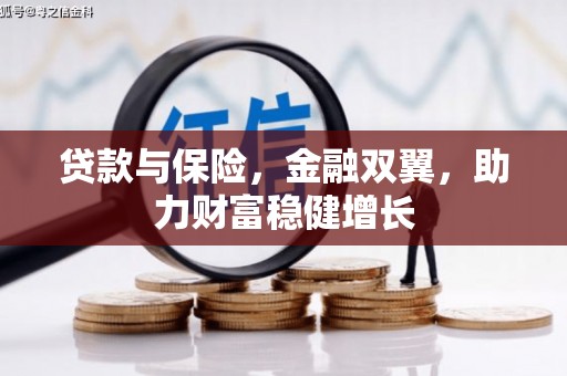 林园贷款与保险，金融双翼，助力财富稳健增长