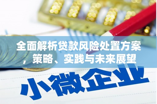 林园全面解析贷款风险处置方案，策略、实践与未来展望