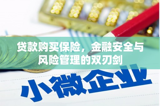 林园贷款购买保险，金融安全与风险管理的双刃剑