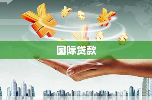 林园国际贷款