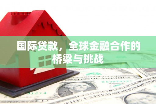 林园国际贷款，全球金融合作的桥梁与挑战