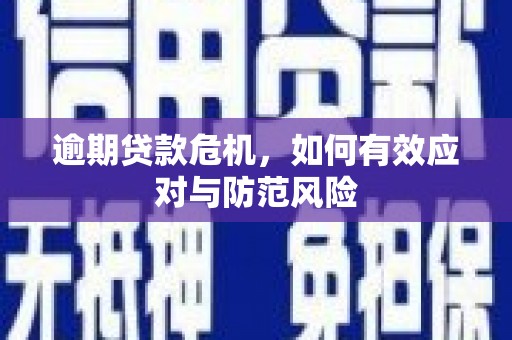 林园逾期贷款危机，如何有效应对与防范风险