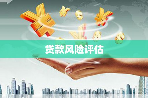 林园贷款风险评估