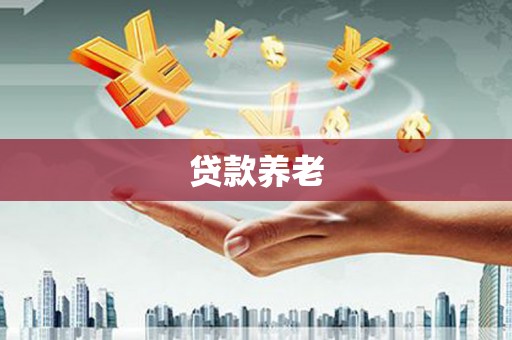 林园贷款养老