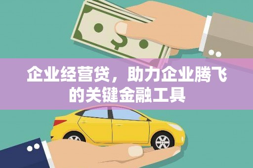 林园企业经营贷，助力企业腾飞的关键金融工具