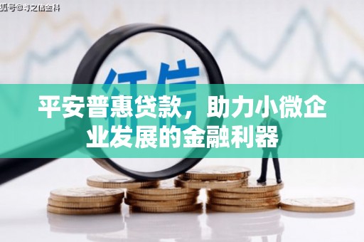 林园平安普惠贷款，助力小微企业发展的金融利器