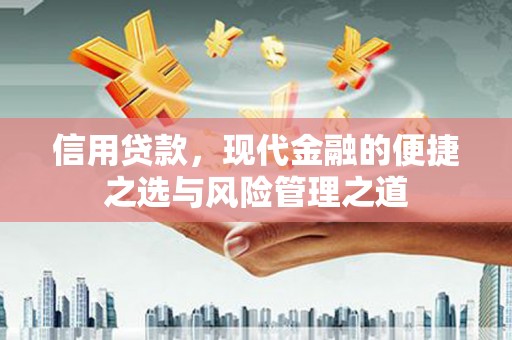 林园信用贷款，现代金融的便捷之选与风险管理之道