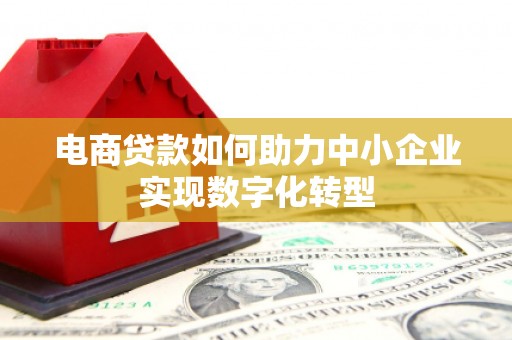 林园电商贷款如何助力中小企业实现数字化转型