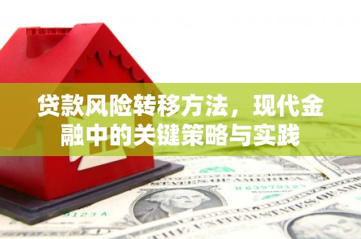 林园贷款风险转移方法，现代金融中的关键策略与实践